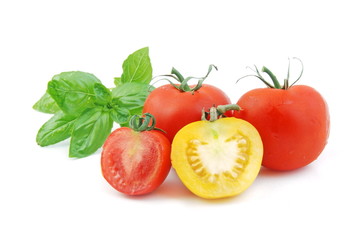Tomato
