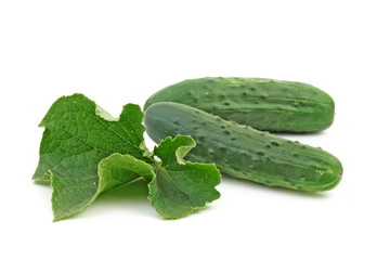 cucumber isolated on white background