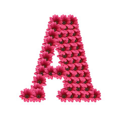 letras y flores - 21905460