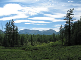The valley between the mountains and forests