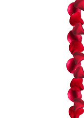 płatki róży © Lasa