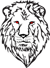 vector image  head  lion