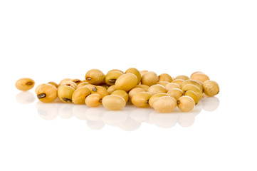soya beans