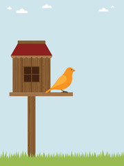 bird house