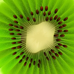 Vector Kiwi Fruit