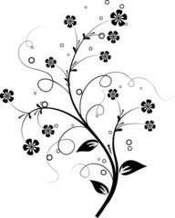 Floral elements for design, vector