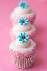 Flower cupcakes