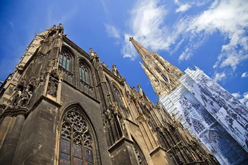 Gordijnen St. Stephan cathedral in Vienna, Austria © sborisov
