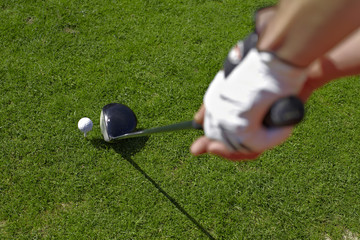 Golfer ready for a swing - 21914803