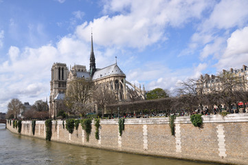 Fototapeta na wymiar Notre Dame de Paris across the Seine River