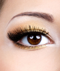 Fashion female eye makeup