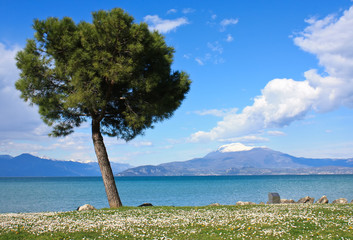 Gardasee