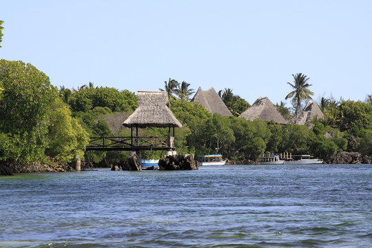 mangrovie kenya watamu