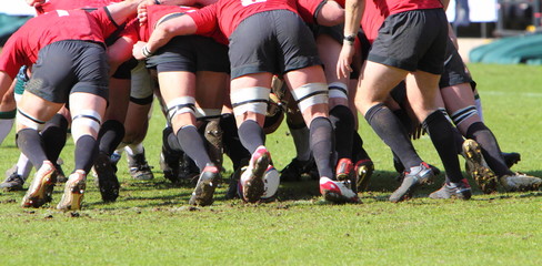 Fototapeta na wymiar rugby scrum