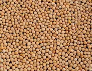 Chick peas