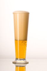 light beer