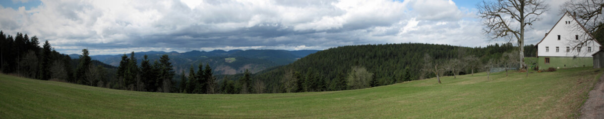 Fototapeta na wymiar Panorama Schwarzwald