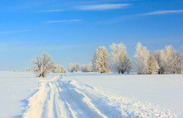 Winter landscape with trees