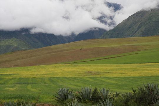 Fields of Peru