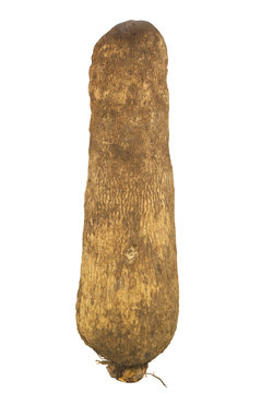 Patata del Ghana 02 04 10