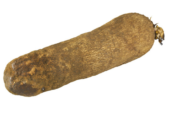 Patata del Ghana 01 04 10