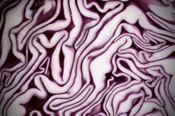 Obraz premium Old-styled texture of red cabbage