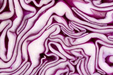 Obraz premium Texture of red cabbage