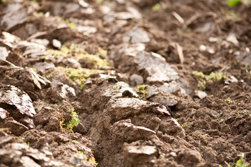 Plough soil