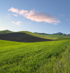 spring landscape of green grass and plowed land at the twilight