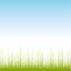 Fototapeta na wymiar vector grass illustration border background