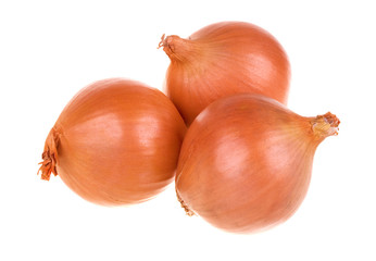 Fototapeta premium Onion