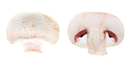 Fototapeta premium Halved mushroom
