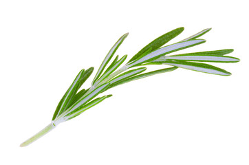 Fresh rosemary