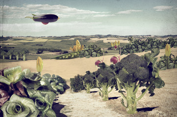 Paesaggio surreale verdure vintage © spinetta