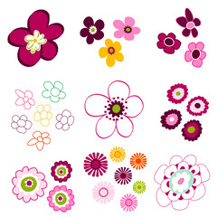 floral, flower elements