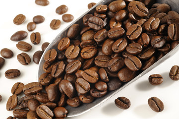 Coffee beans in metal scoop