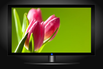 flatscreen