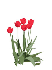 group of bright red tulips - 21944033