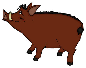 Warzenschwein, Wildschwein, Schwein, Eber, Keiler