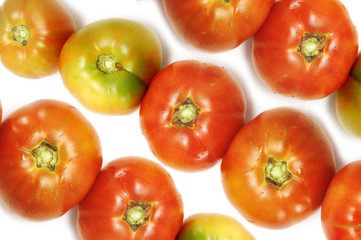 tomatoes