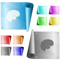 Brain. Vector metal surface.