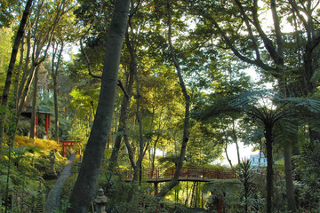 Jardin tropical Monte Palace