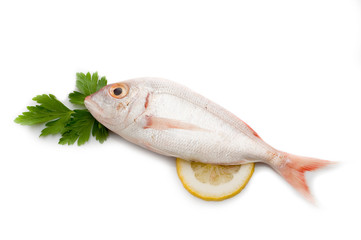 red pagellus with lemon and parsley