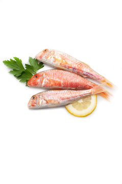 recommend clip art: red mullet with lemon and parsley