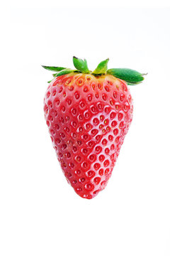 tasty strawberry