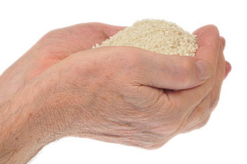 Hands holding rice