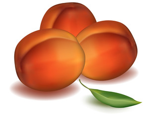 Vector illustration. Ripe peaches with green leaf.