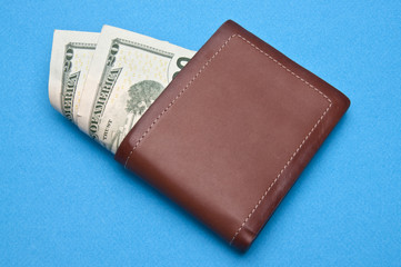 Wallet with Money