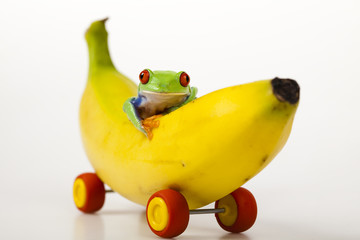 Fruit car