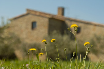 sant climent de peralta 3